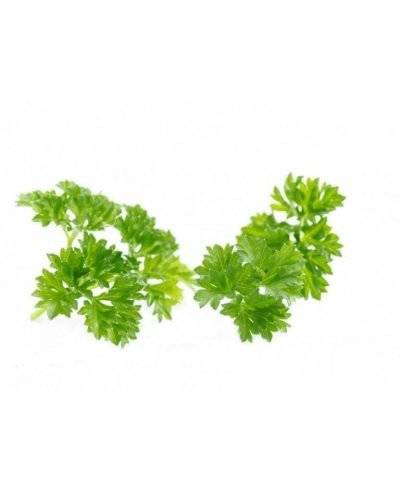 Parsley(100 gm) Buy only at ₹40