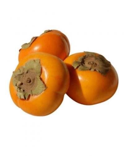 Persimmon Fruit/Ramphal(500 Gm) Buy only at ₹199