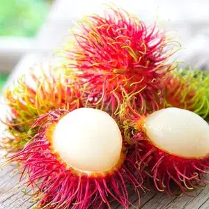 Rambutan Healthy Fruit Live Plant & Tree For Home Gardening Hybrid Rambutan Grafted Fruit Plant (1.5-3.5 Ft Hight) Pack Of 1) Buy @ ₹549