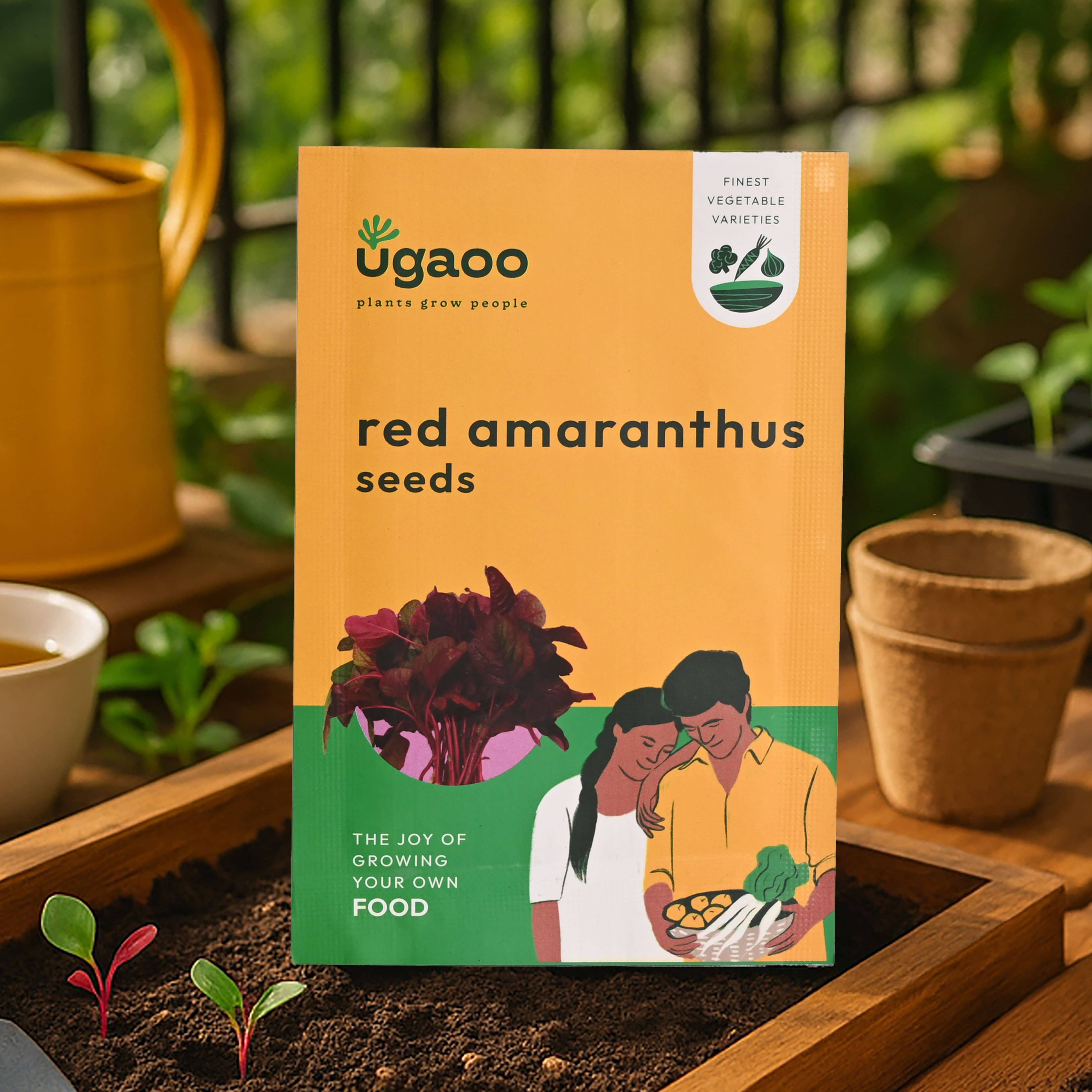 Red Amaranthus Seeds (Red Math)