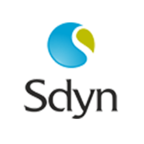 Sdyn