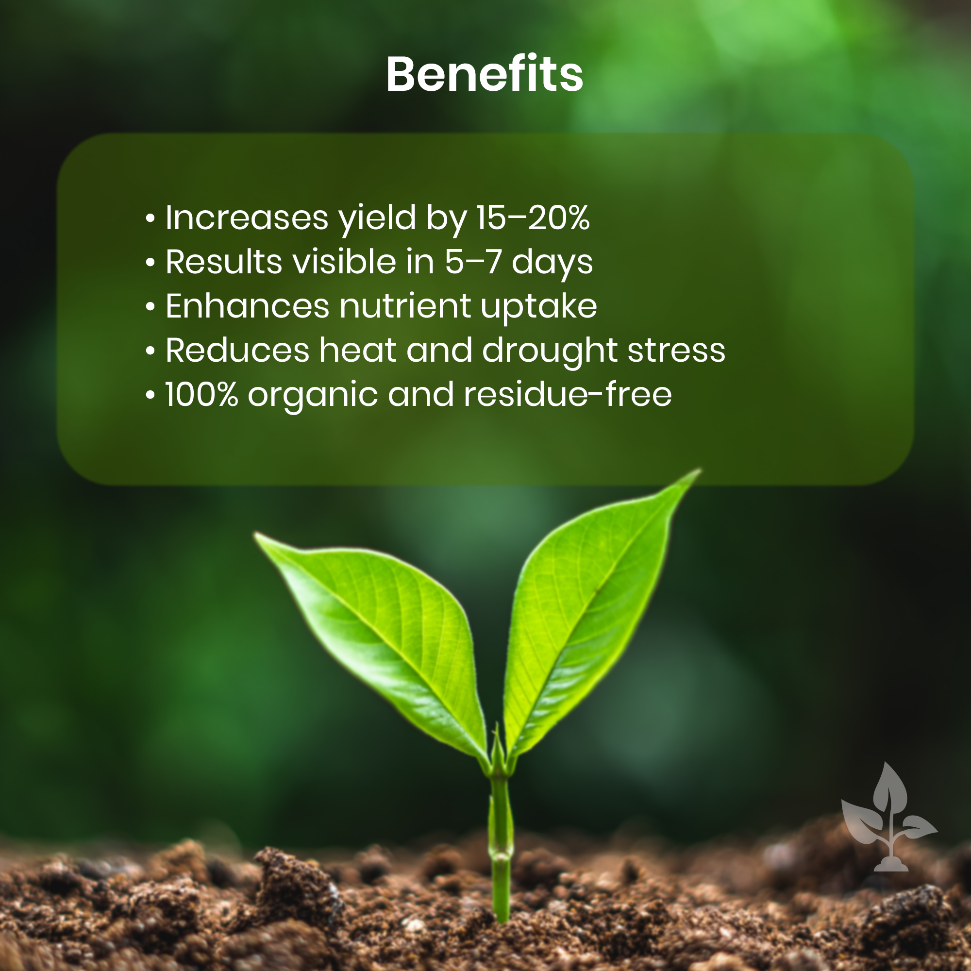 Se-Rich – Organic Seaweed Fertilizer for Stronger Plants