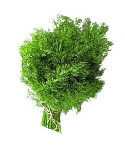 Sova Leaves/Dill Leaves(250 gm) Buy only at ₹40