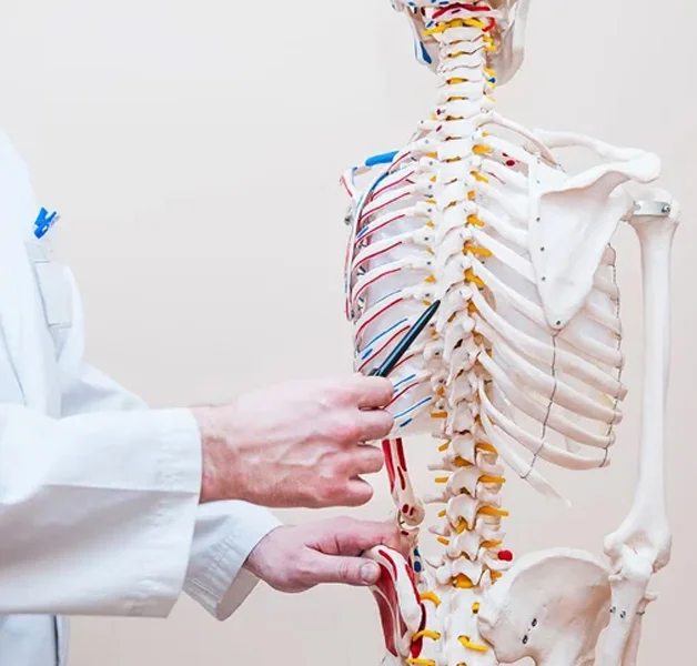 Spinal Cord Injury