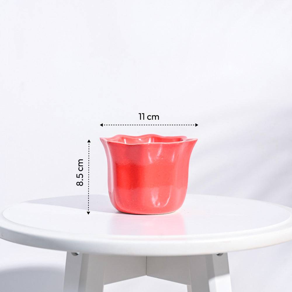 Star Ceramic Pot (4.2 Inch Width)
