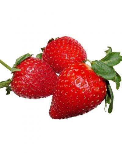 Strawberry (1 Pkt) Buy only at ₹90