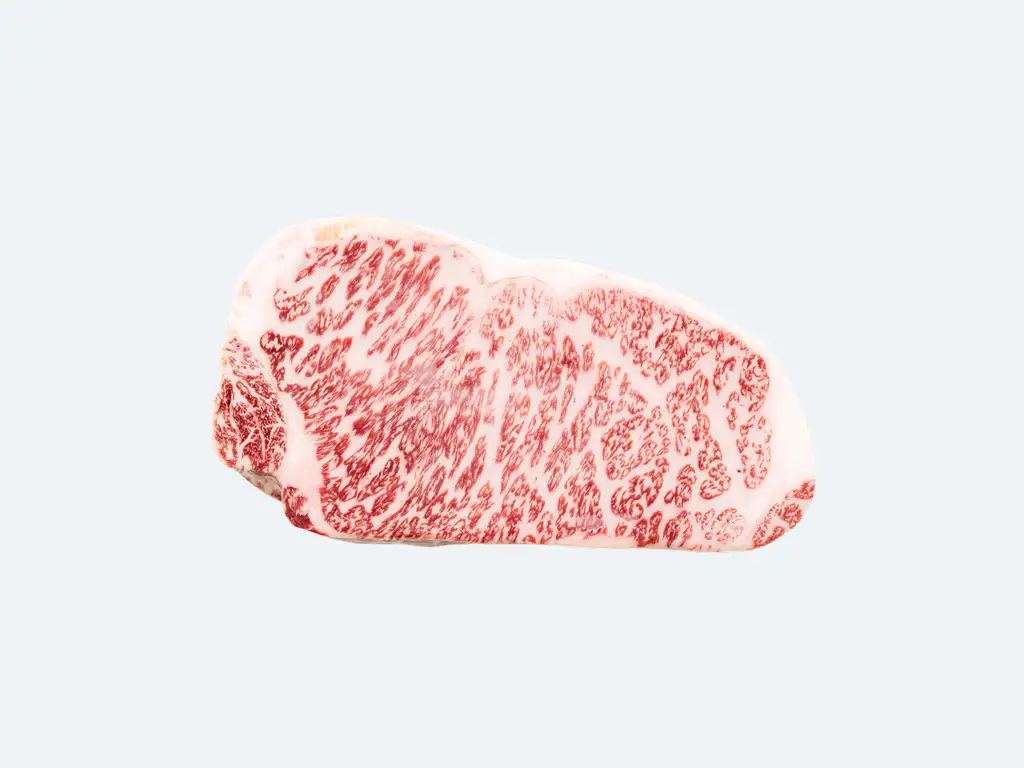 BuyJapanese A5 Wagyu Beef Online wholesale bulk supply