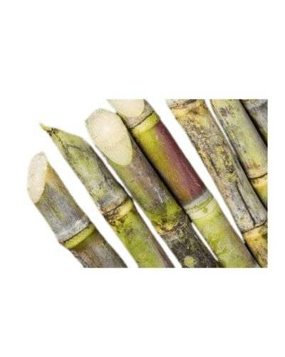 Sugarcane (1 Kg) Buy only at ₹28