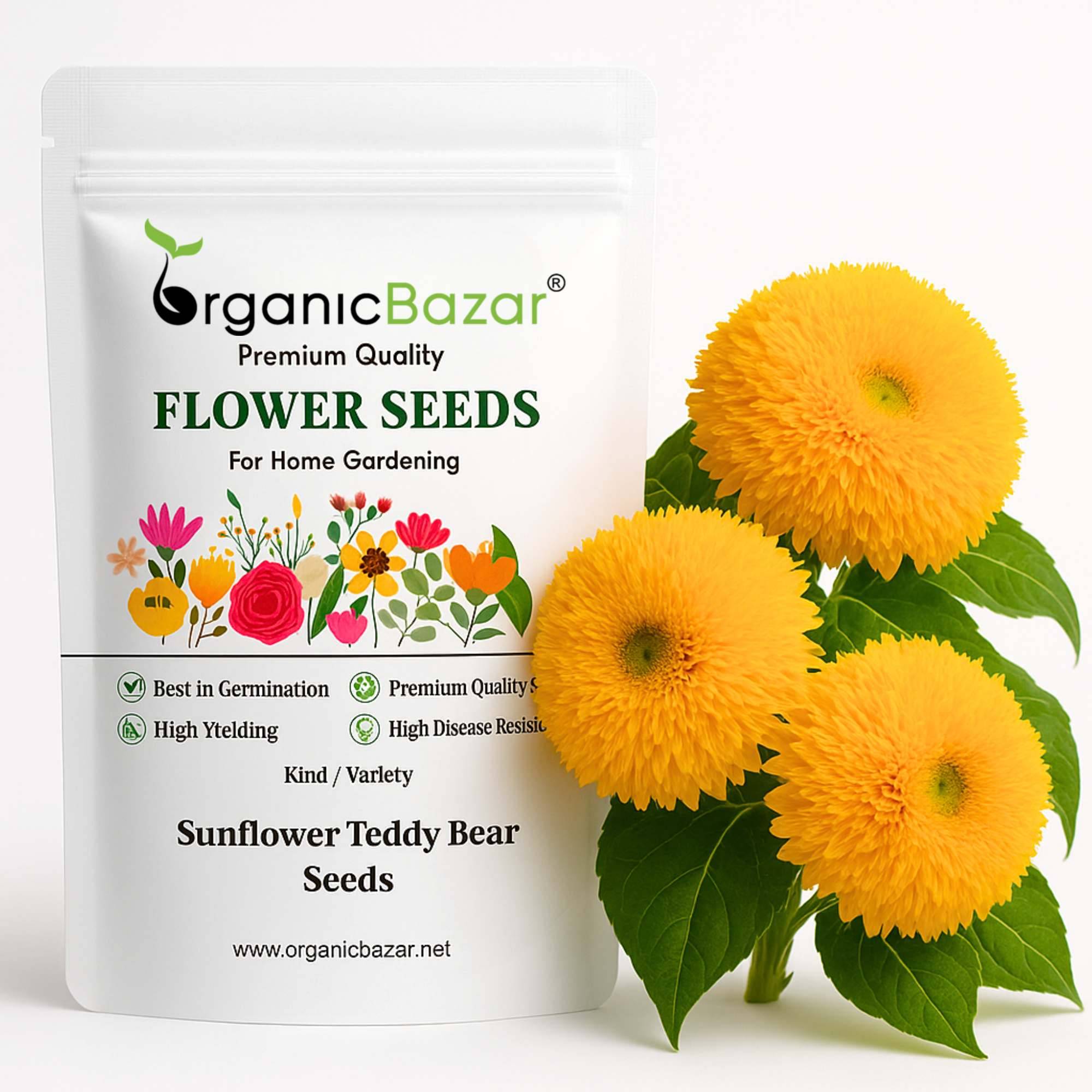 Sunflower Teddy Bear Seeds - 20 Seeds (Surajmukhi/सूरजमुखी के बीज) High Germination/ Easy To grow/ Perfect For Terrace gardening