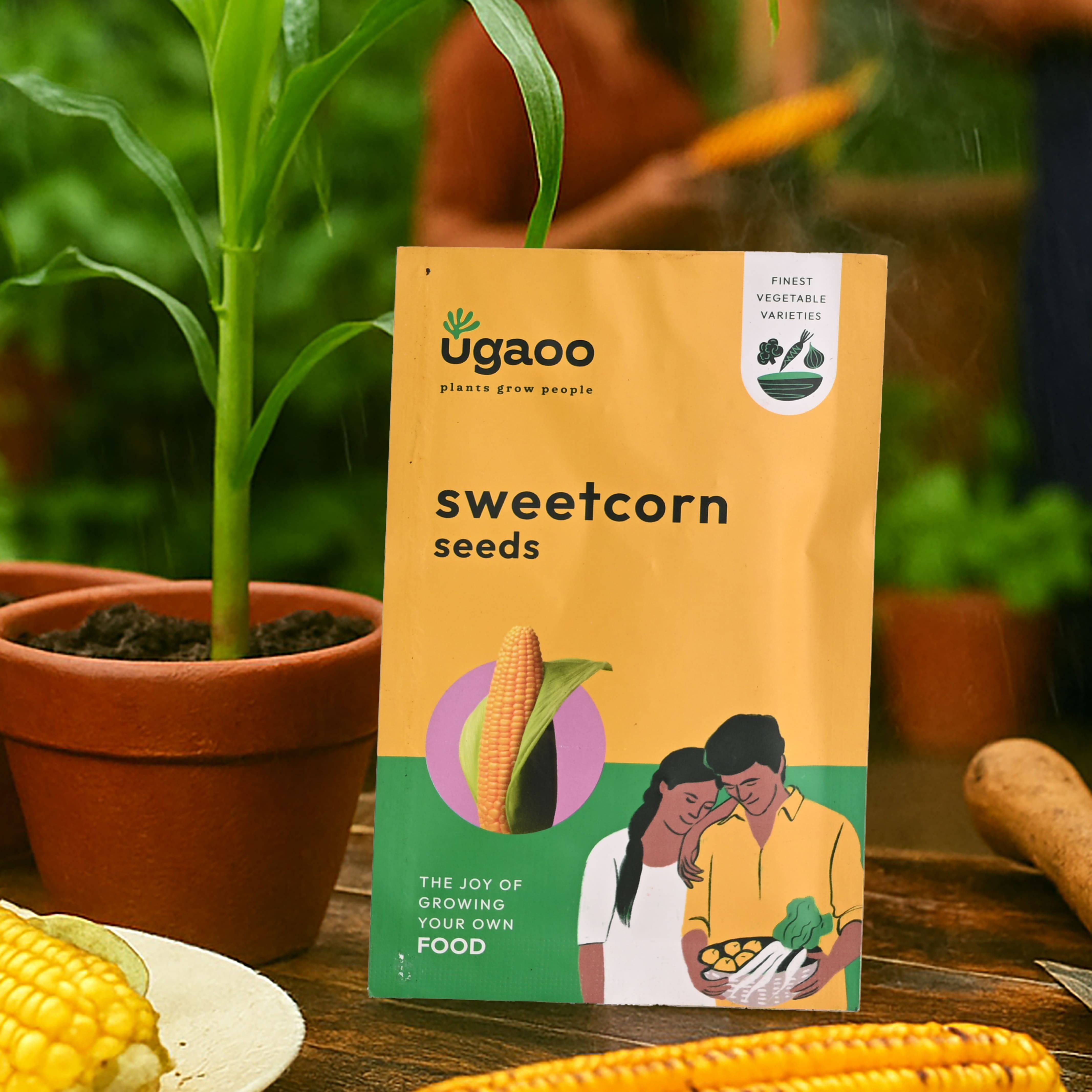 Sweetcorn Seeds