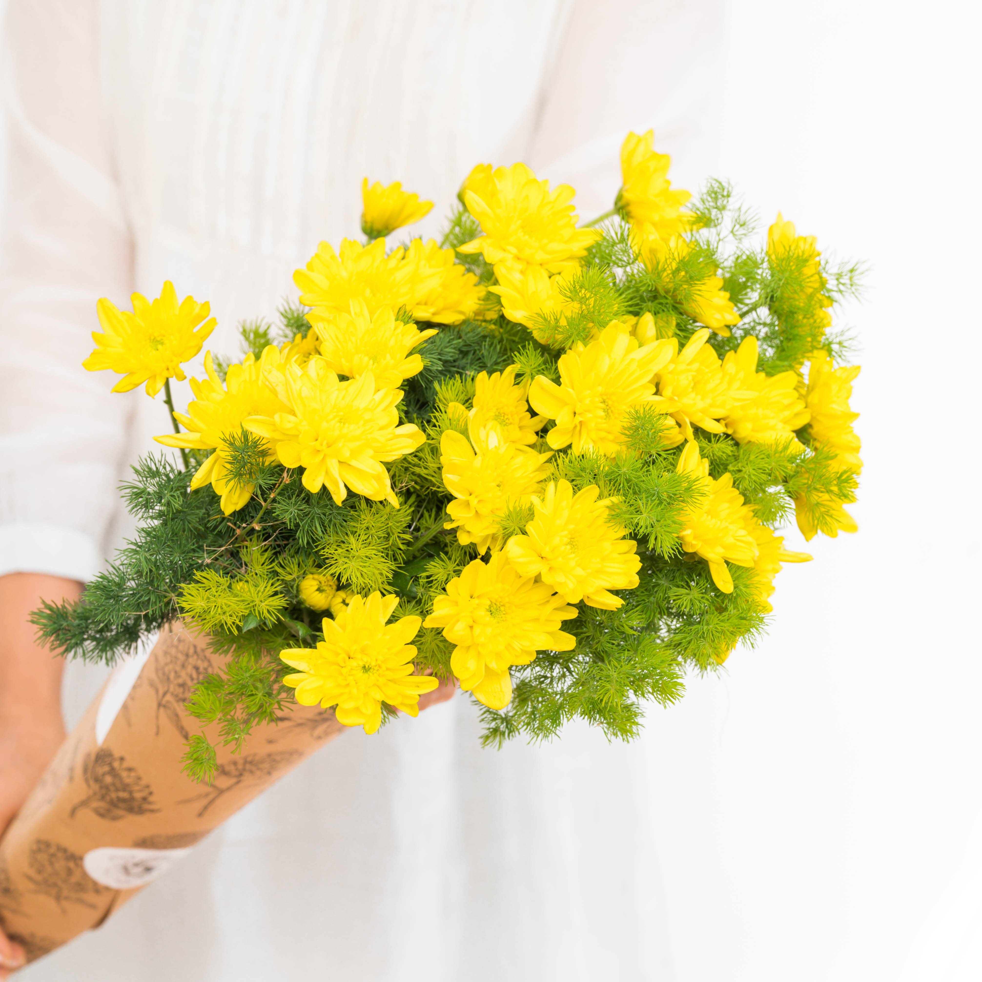 Subscribe to Cut Flowers WITH FILLERS - Premium Plus Buy at ₹3000