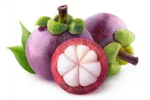 Thai Purple Mangosteen (Garcinia Mangostana) Live fruit tree Plant Buy @ ₹549