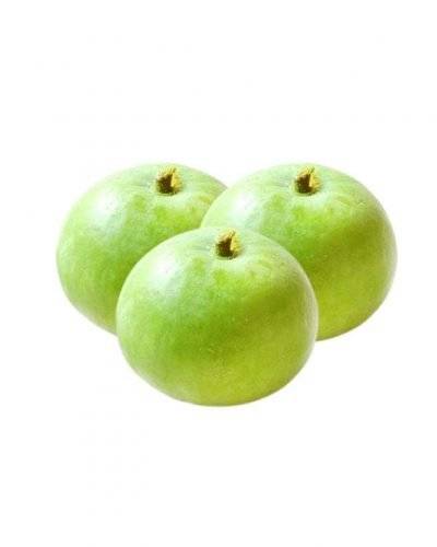 Tinda(500 Gm) Buy only at ₹40