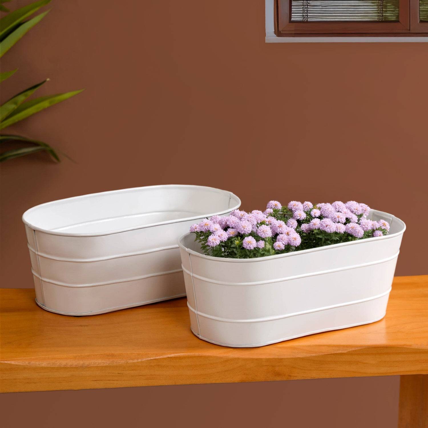 Trough Lined Minimalist Oval Plant Holder Set Of 2 Ivory