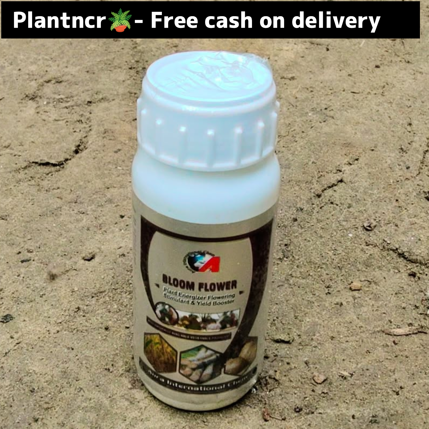 Bloom flower (spray for flowering) 10ml