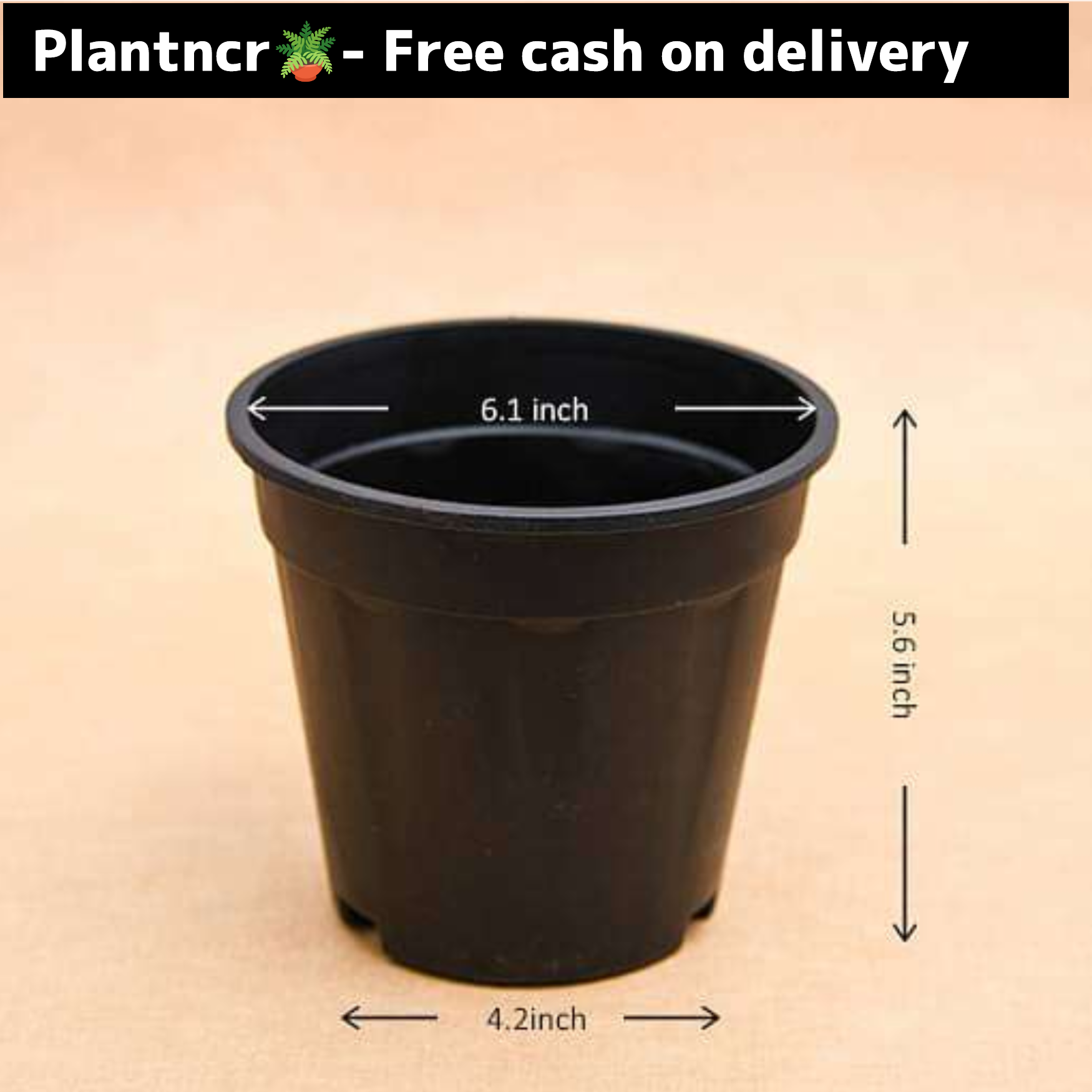 6 inch black plastic pot
