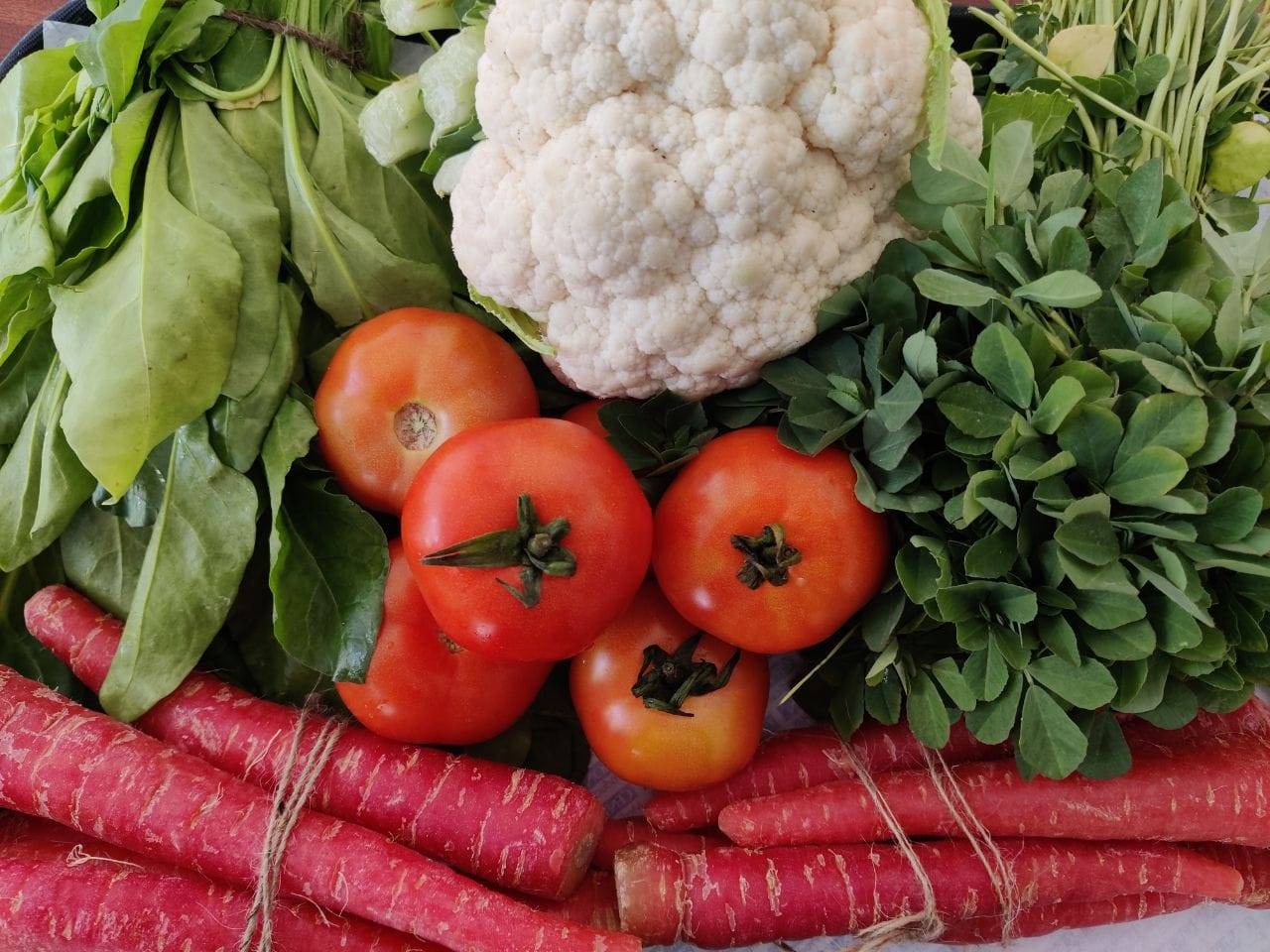 Vegetable Supplier in Gurgaon