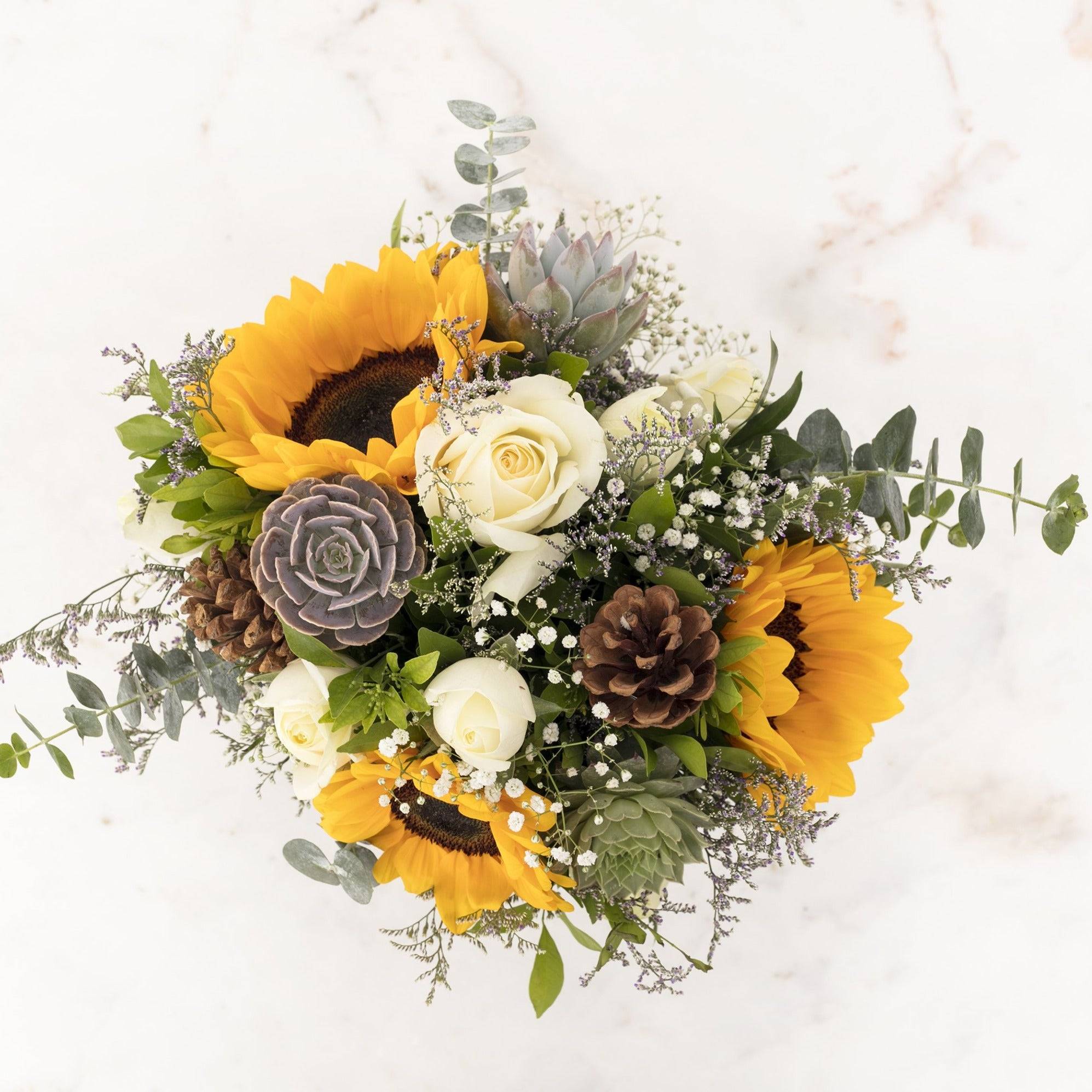 Sun Forest Buy at ₹3350