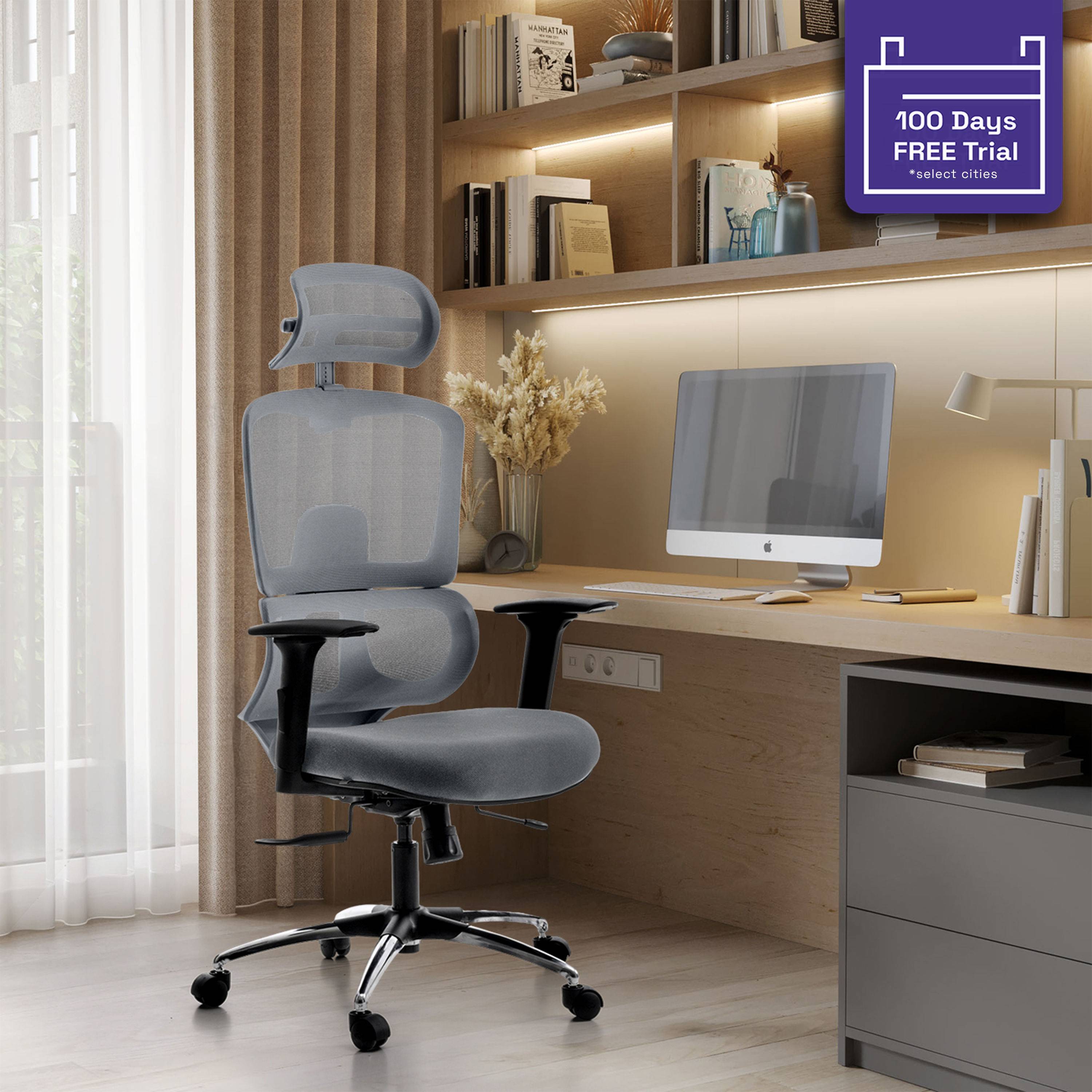 Trivon Double Back Seat Slider Multi Lock class 3D Armrest 4 Gaslift Ergonomic Office Chair Grey