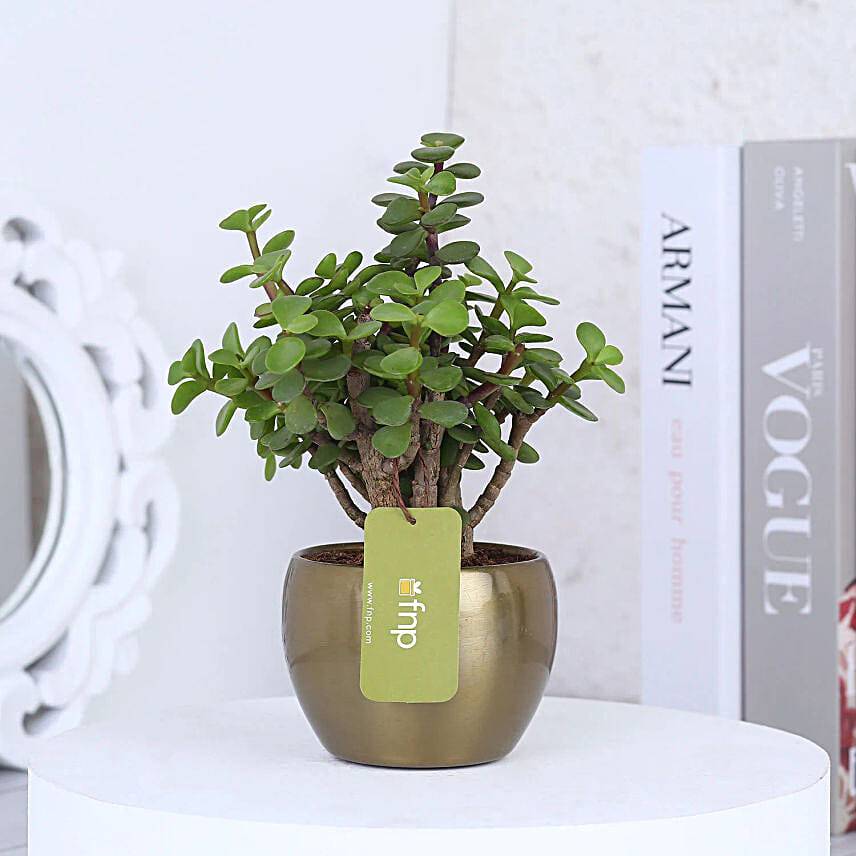 A+ Teacher's Day Plant N Fridge Magnet