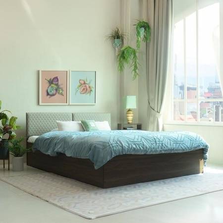 Sutra Engineered Wood Queen Size Bed In Walnut Finish