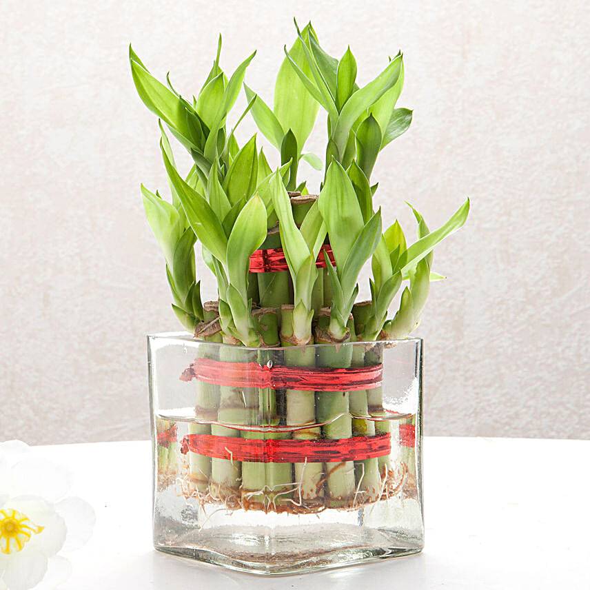 Bamboo Bliss Gift for Mom