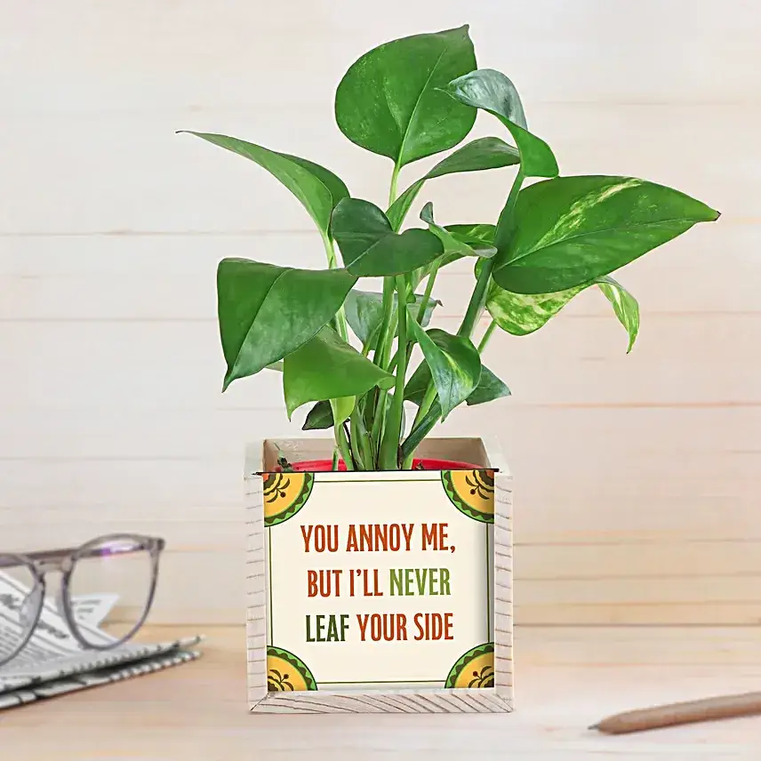 Bhai Dooj Never Leaf You Plant