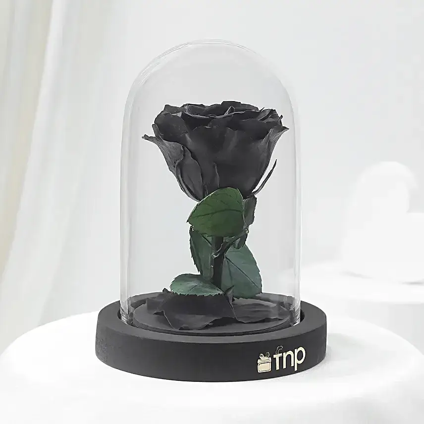Black Amour Forever Rose