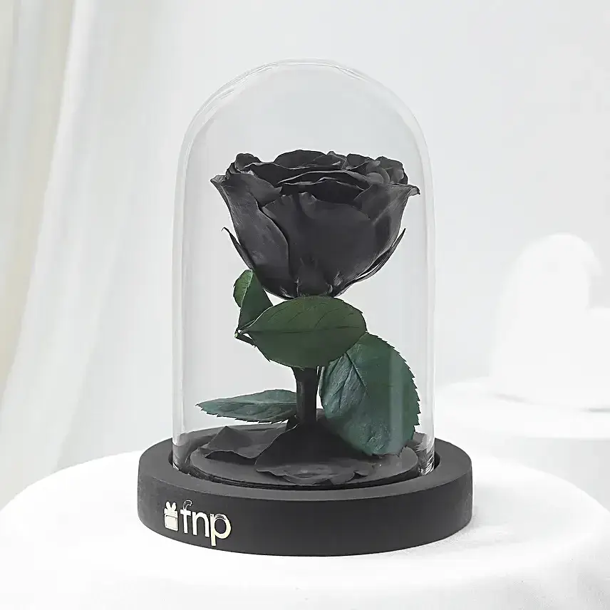 Black Amour Forever Rose