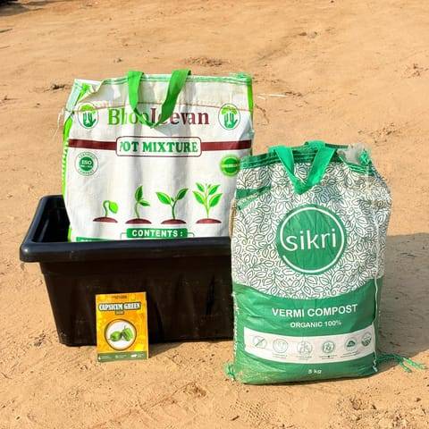 Capsicum Green Grow Kit - 20 Inch Black Window Planter + 10Kg Soil Potting Mix + 5 Kg Vermicompost (Brands may vary)