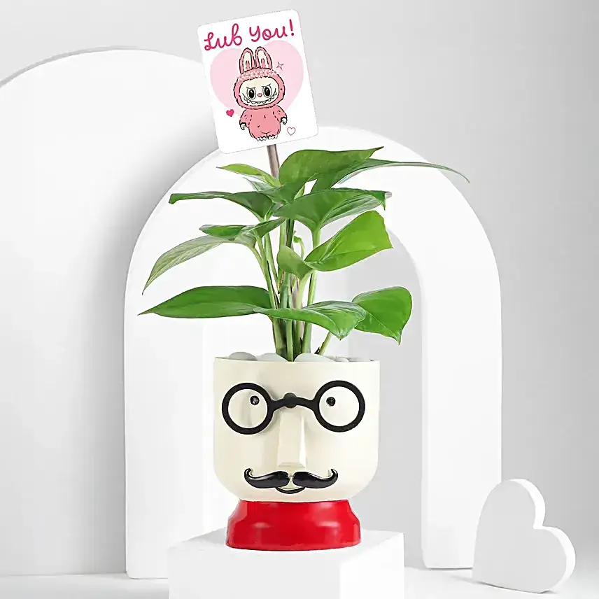 Blooming Money Plant