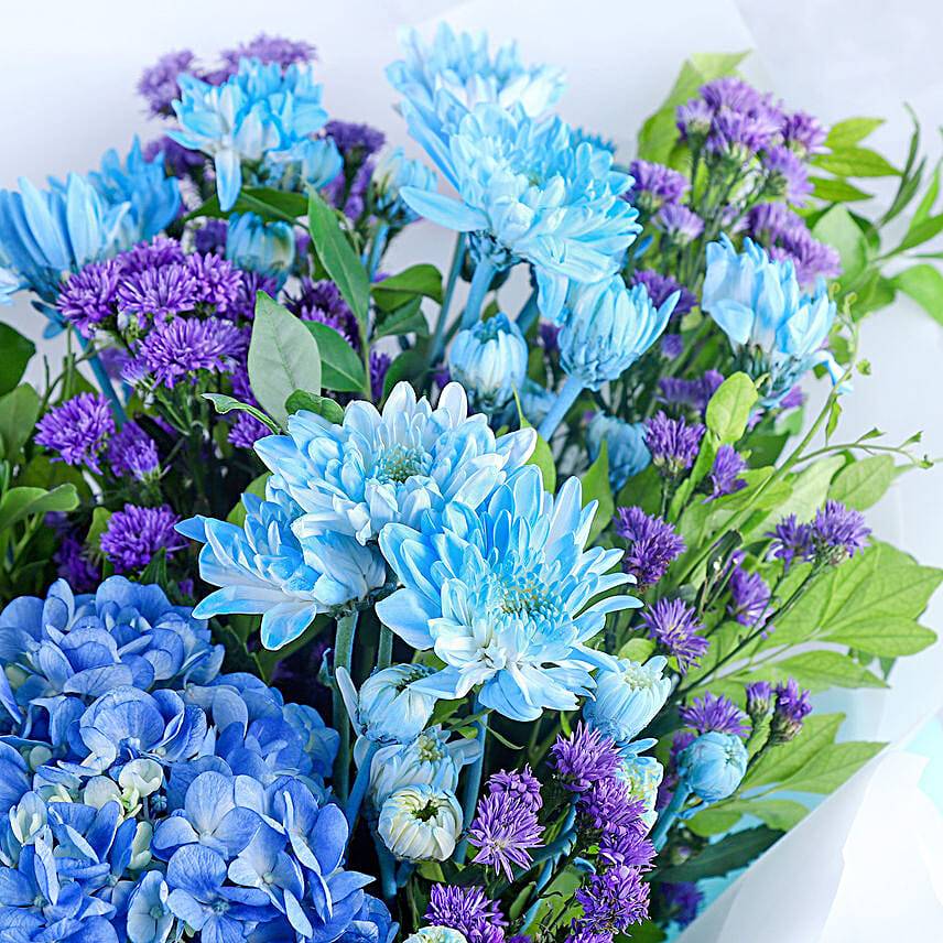 Blue Beauty Serenity