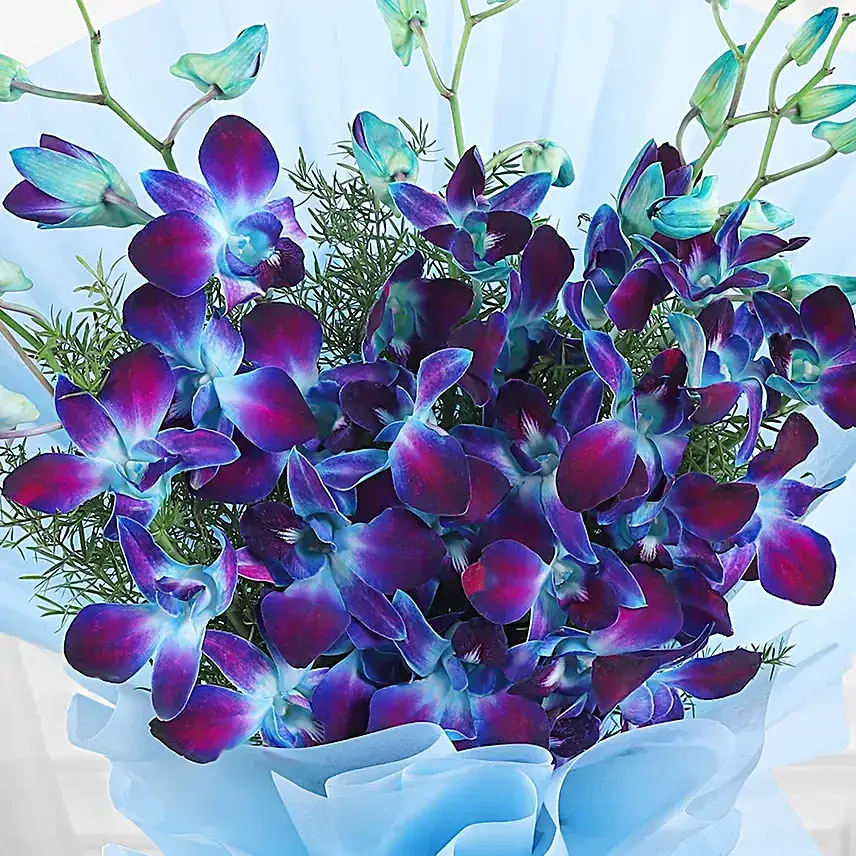 Surprise Guitarist With Blue Orchids: 20-30 Mins