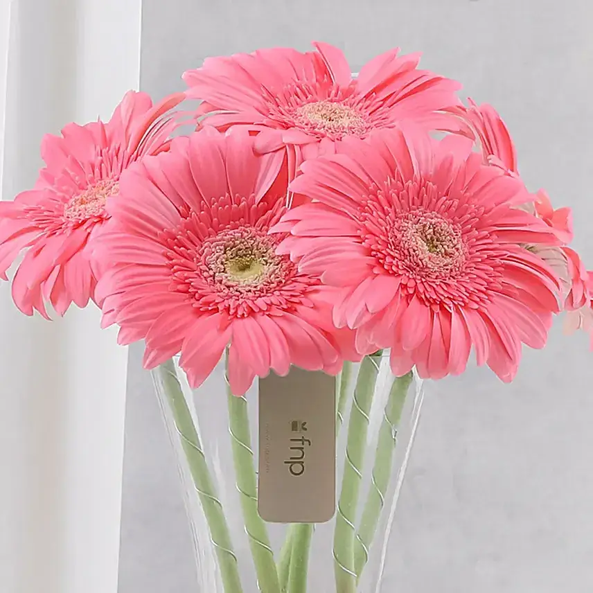 Blushing Beauty Gerbera Arrangement