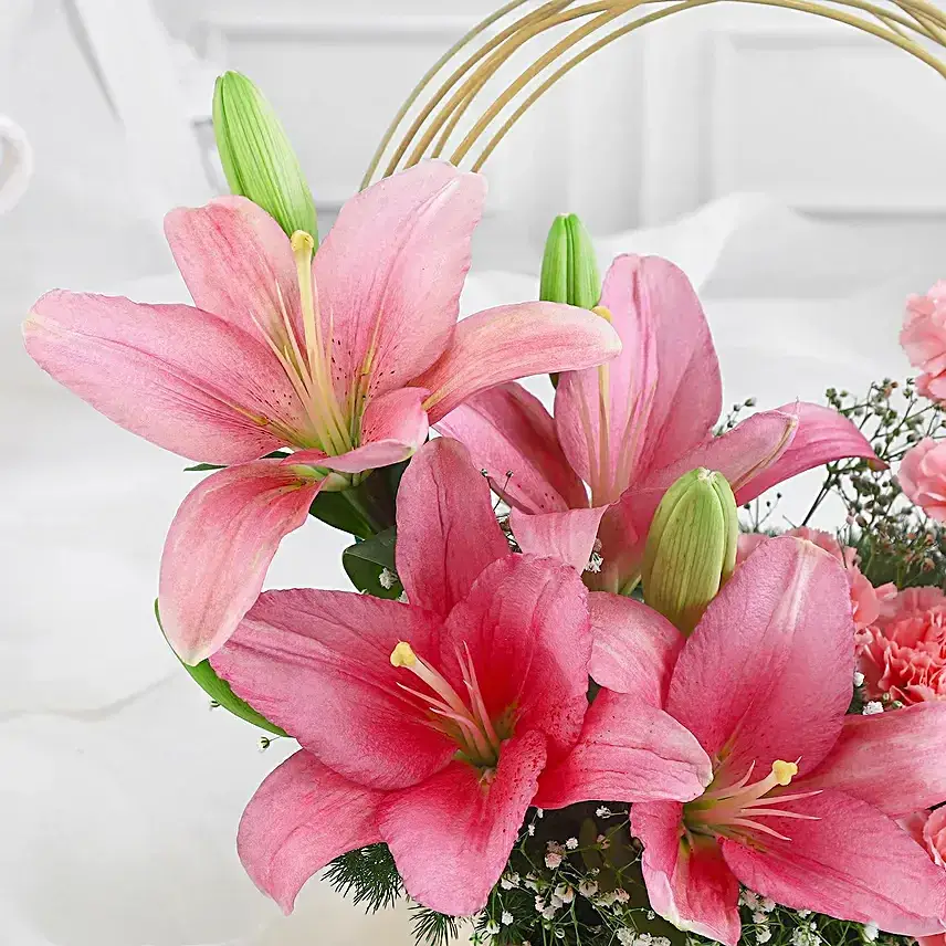 Blushing Spring Lilies & Carnations Tray