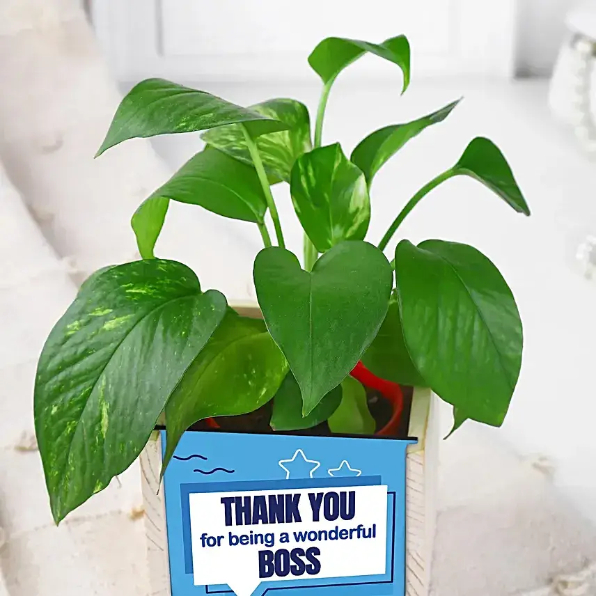 Boss Day Eco-Friendly Desk Set