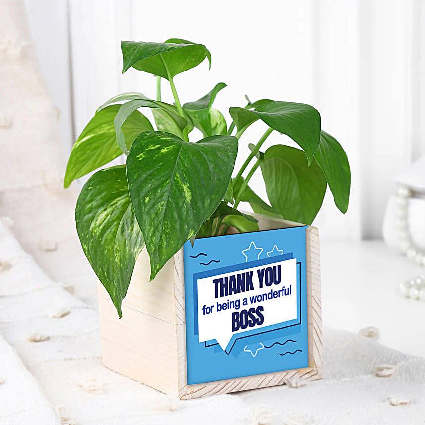 Boss Day Eco-Friendly Desk Set