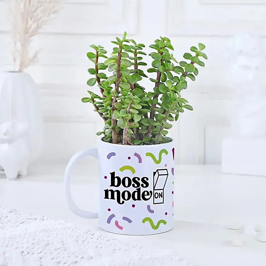 Boss Day Jade Plant n Coffee Mug Set