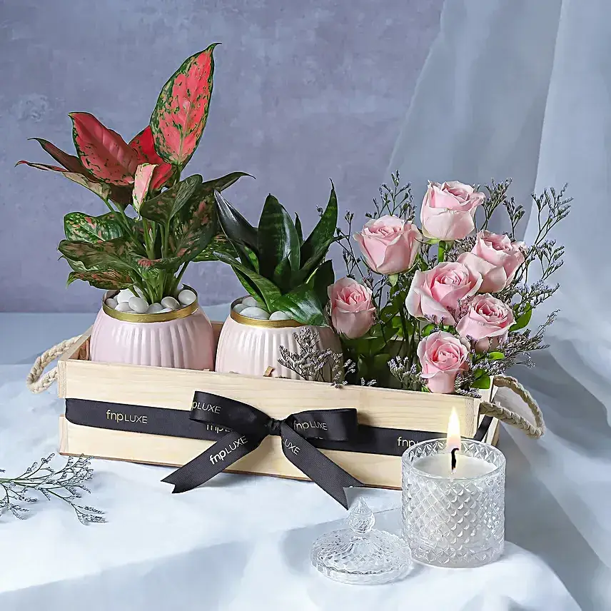 Botanical Beauty Crate with Candle