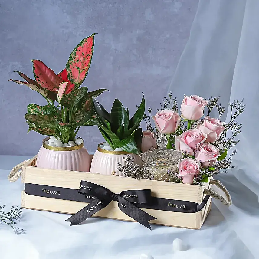 Botanical Beauty Crate with Candle