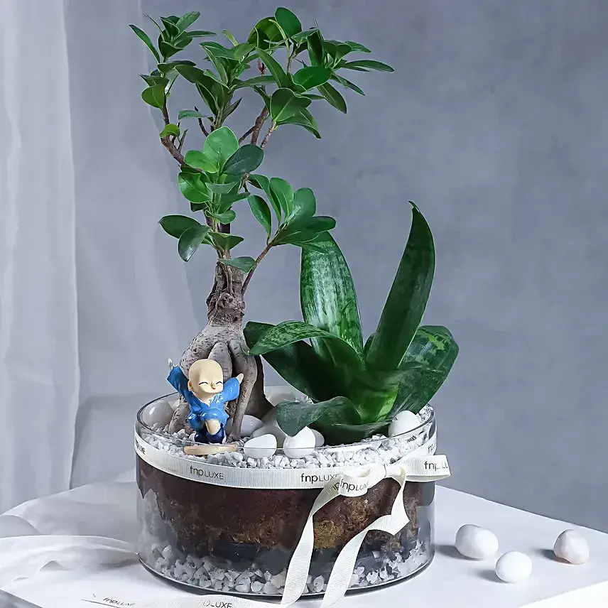 Buddha's Oasis