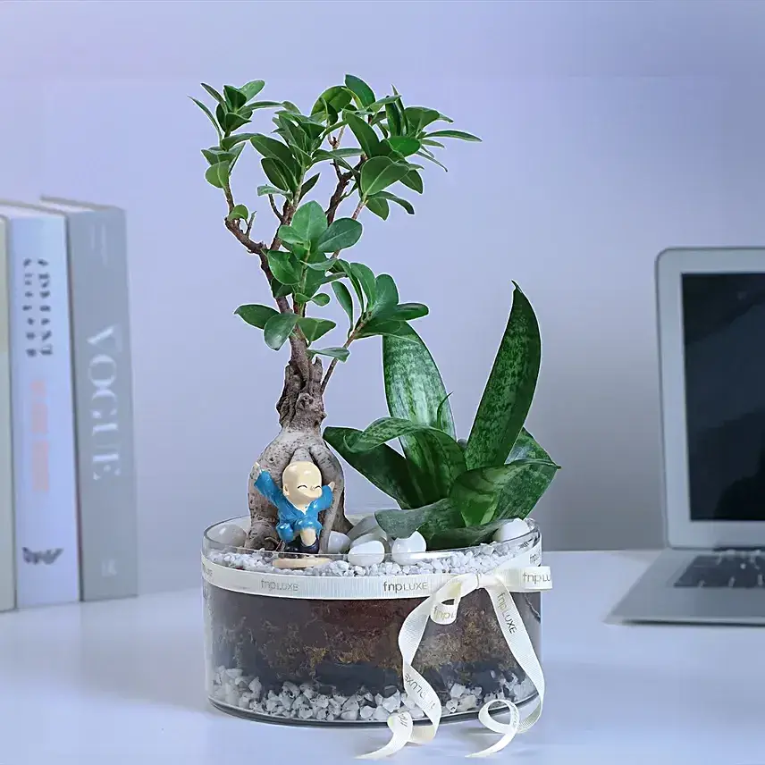 Buddha's Oasis