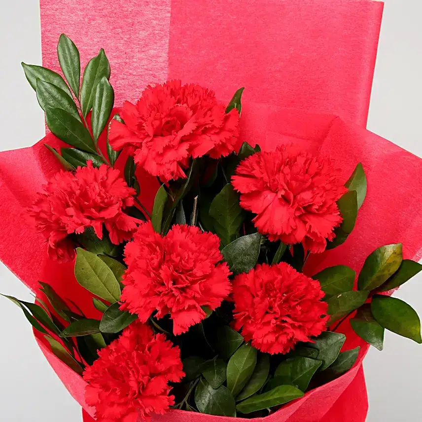Captivating 6 Red Carnations Flower Bunch