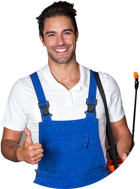 Cassini Pest Control