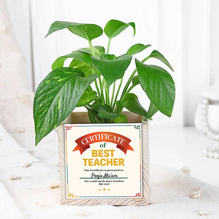 Certificate of Best Teacher Plant Gift