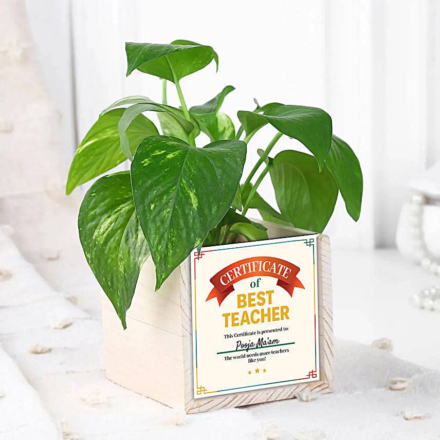 Certificate of Best Teacher Plant Gift