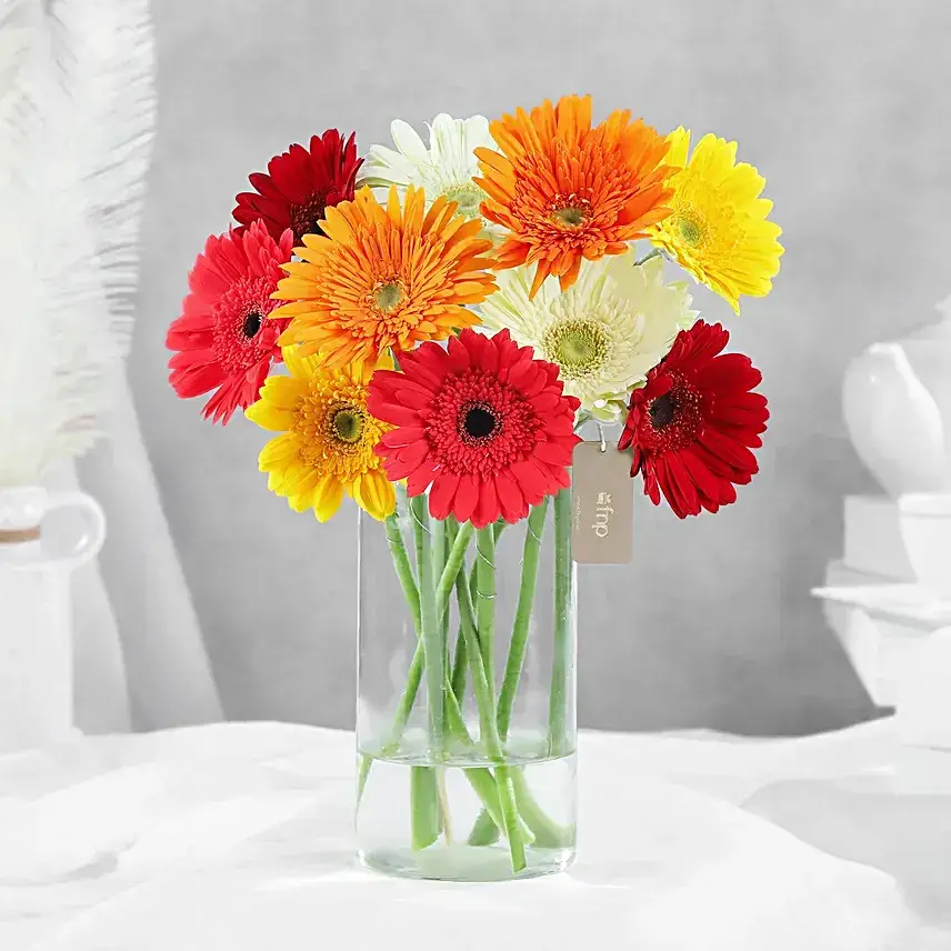 Cheerful Gerbera Blossoms Vase