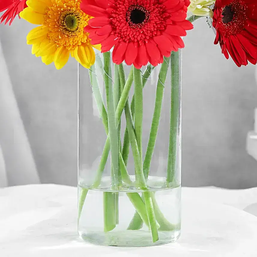 Cheerful Gerbera Blossoms Vase