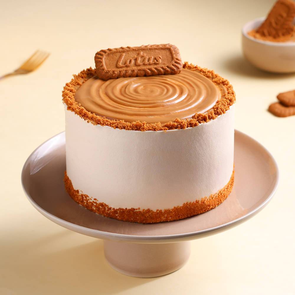 Choco Biscoff Cake
