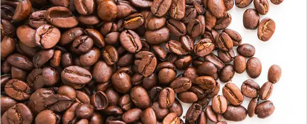 Buy Premium Misha Coffee Bulk Supplier 